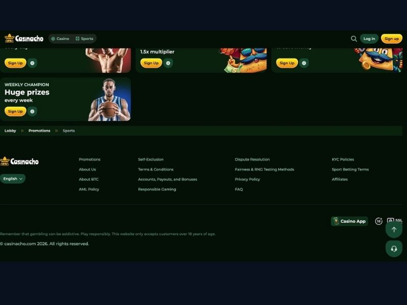 Apple Pay i Google Pay w Casinacho Casino Nacho Casino na smartfonie